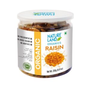Natureland Organics Raisins 250 gm